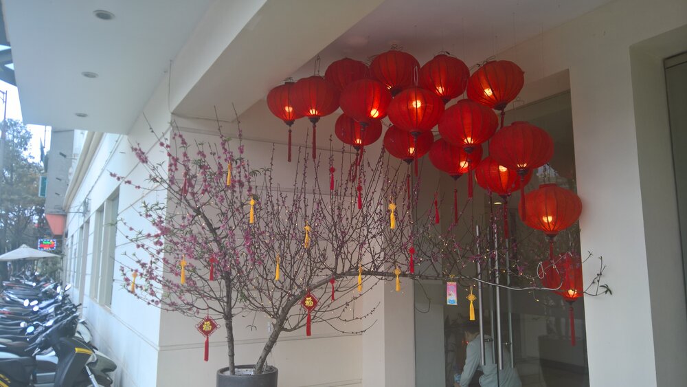 Hanoi streets decorated with peach blossom and lanterns during Tet
