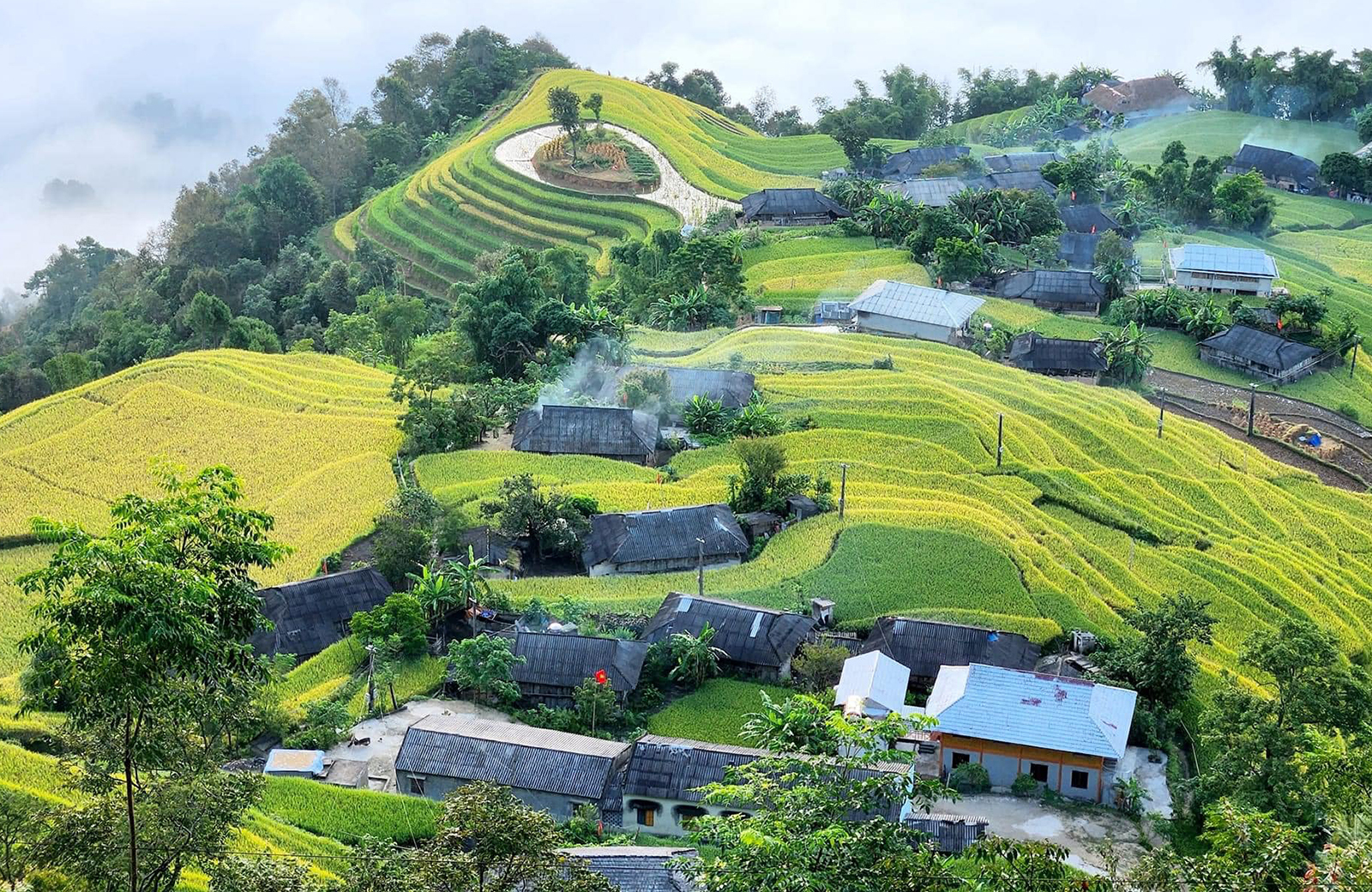 Rice terraces above Phung village in Hoang Su Phi, Ha Giang province