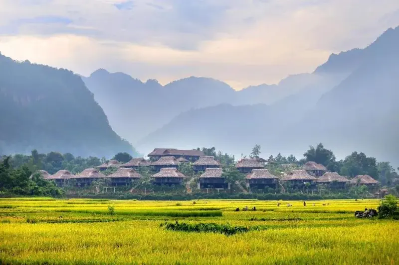Rice paddies and stilt houses in the Mai Chau valley, Hoa Binh province