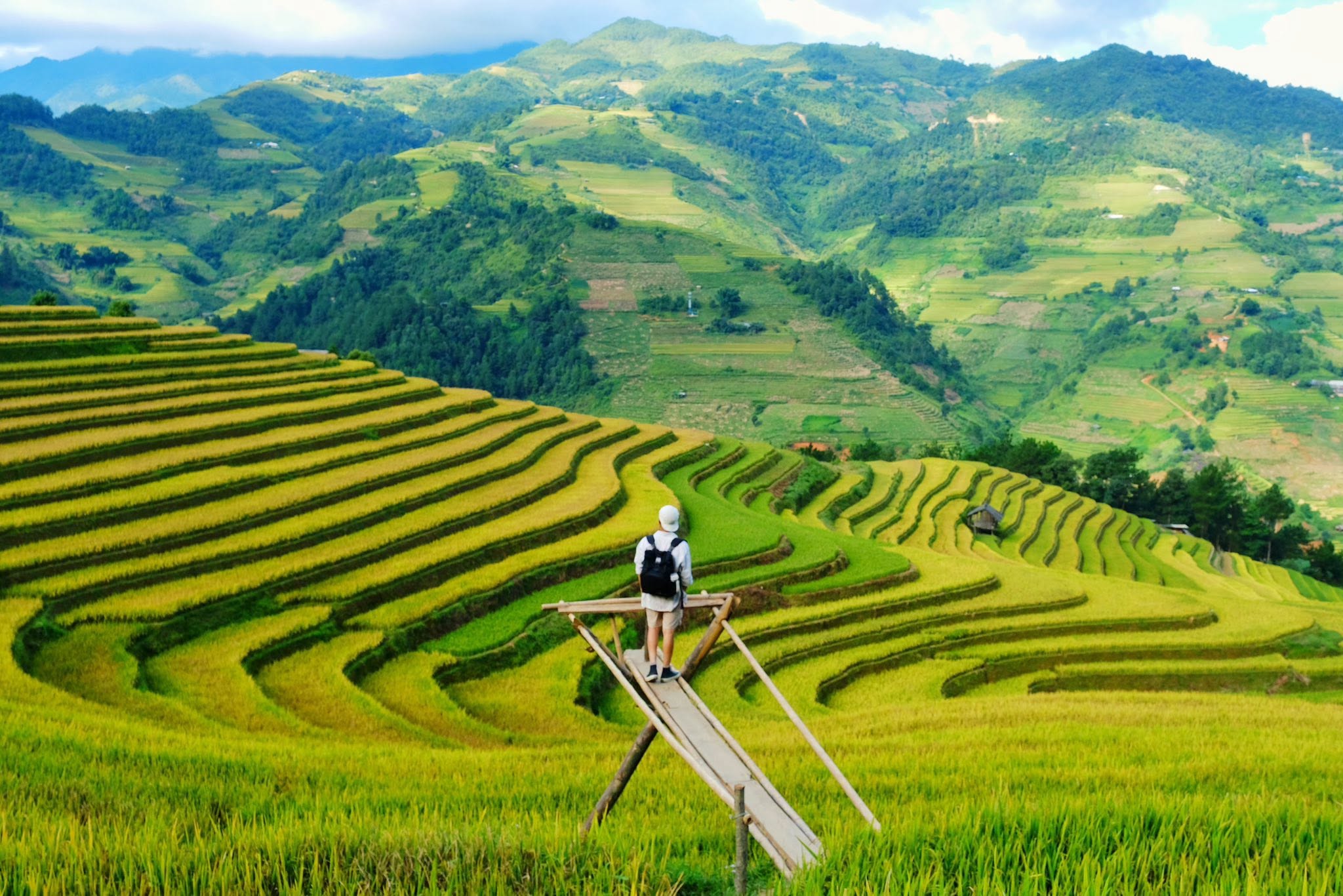 Golden rice terraces cascading down the hillsides of Mu Cang Chai during harvest season