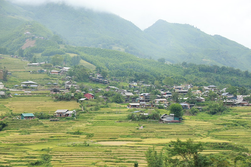 Rice terraces above Ta Van village in the Muong Hoa Valley near Sapa