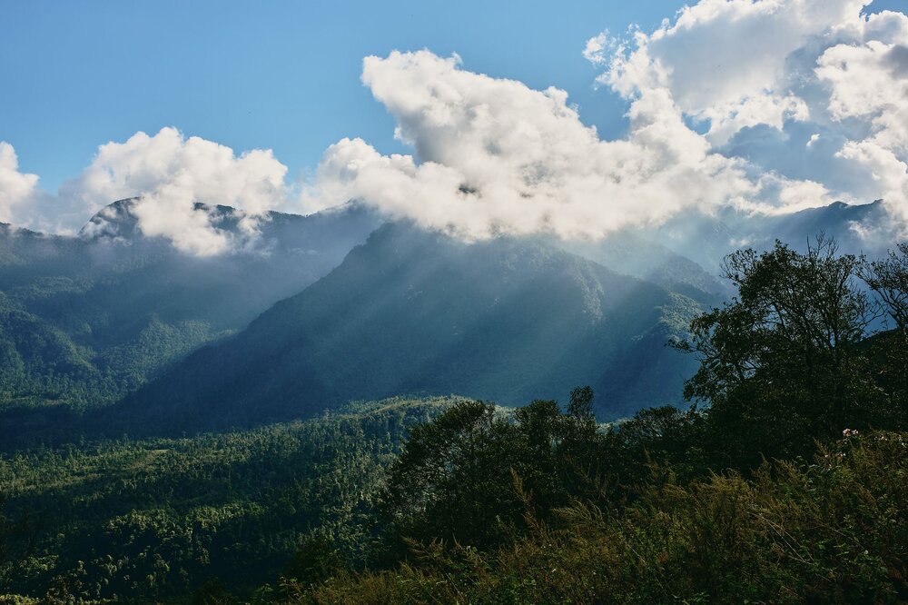 Bach Ma National Park — Vietnam