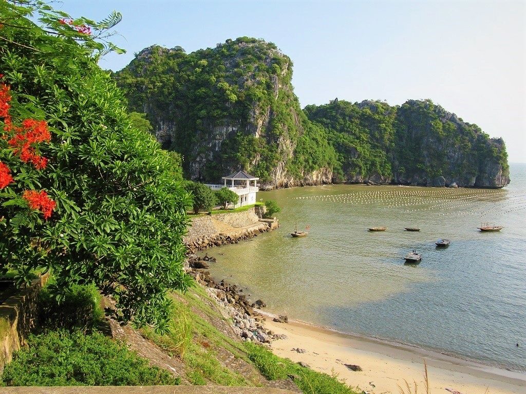 Cat Ba National Park bay red flowers limestone cliffs fishing boats