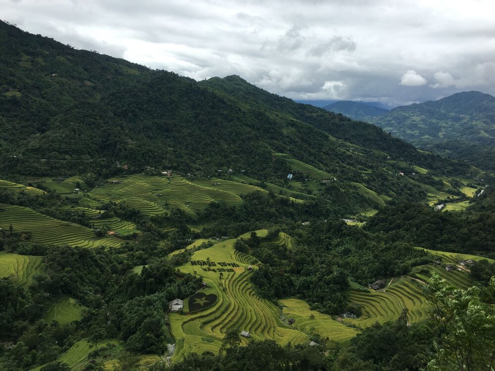 Terraced rice fields at Hoang Su Phi in Ha Giang province during the golden harvest