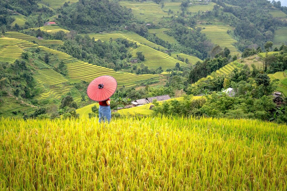 Lao Chai Village — Vietnam