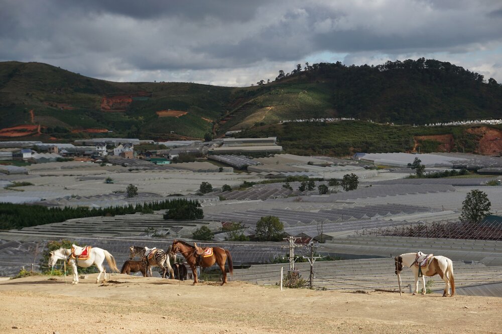 Mai Hich Village — Vietnam