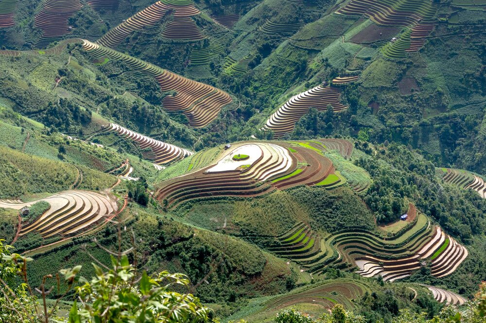 Mu Cang Chai rice terraces golden harvest September October Vietnam