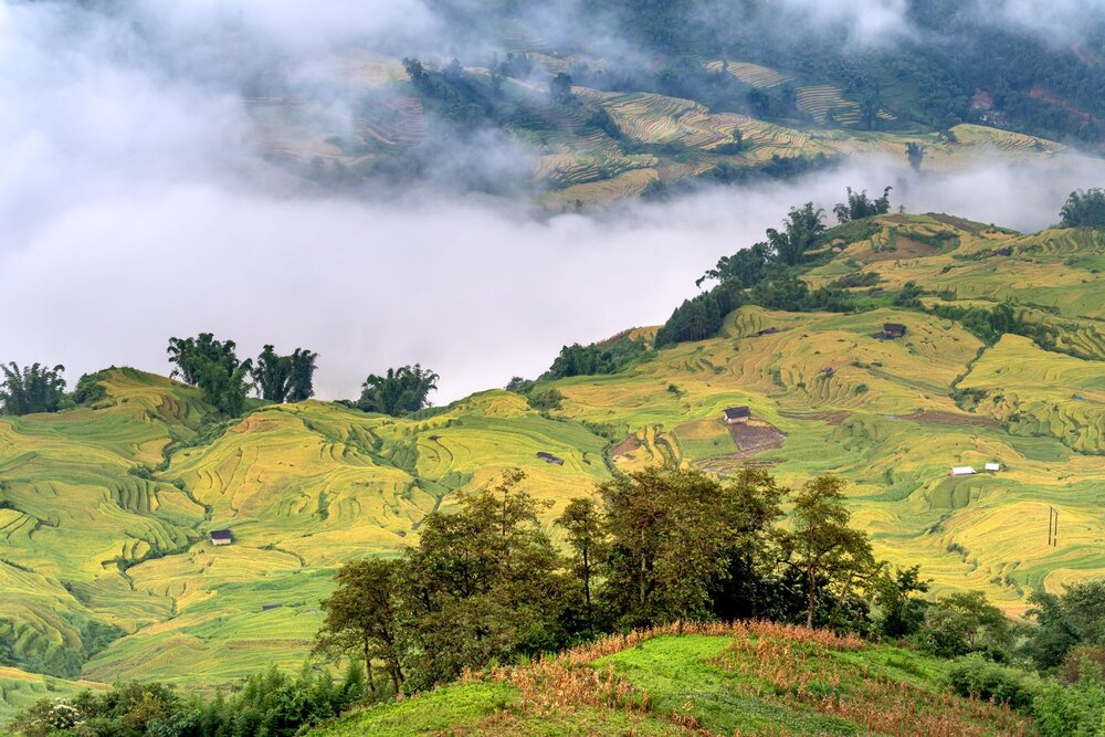 Muong Hoa Valley — Vietnam