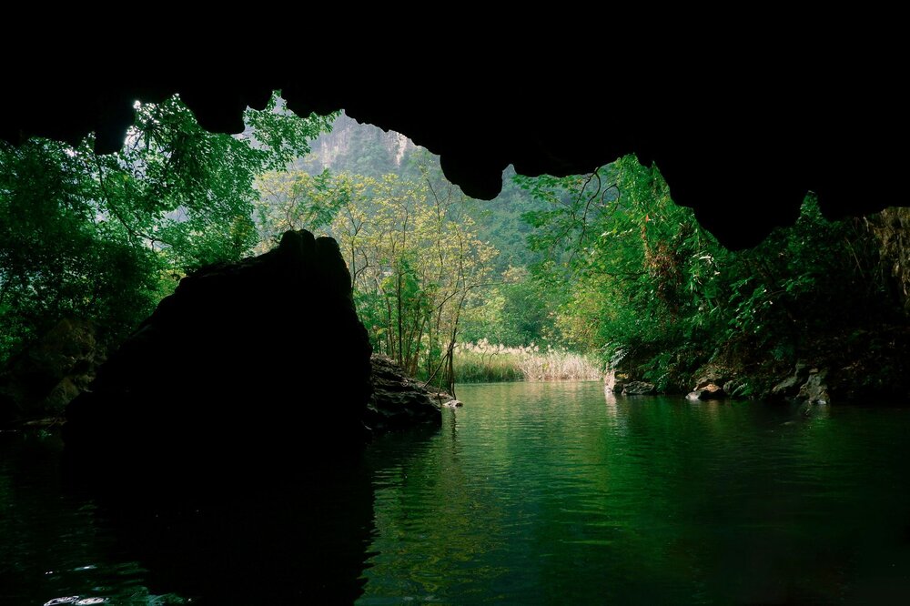 Paradise Cave Phong Nha stalactite stalagmite calcite formations boardwalk