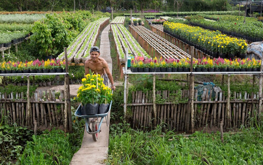 Sa Dec Flower Village — Vietnam