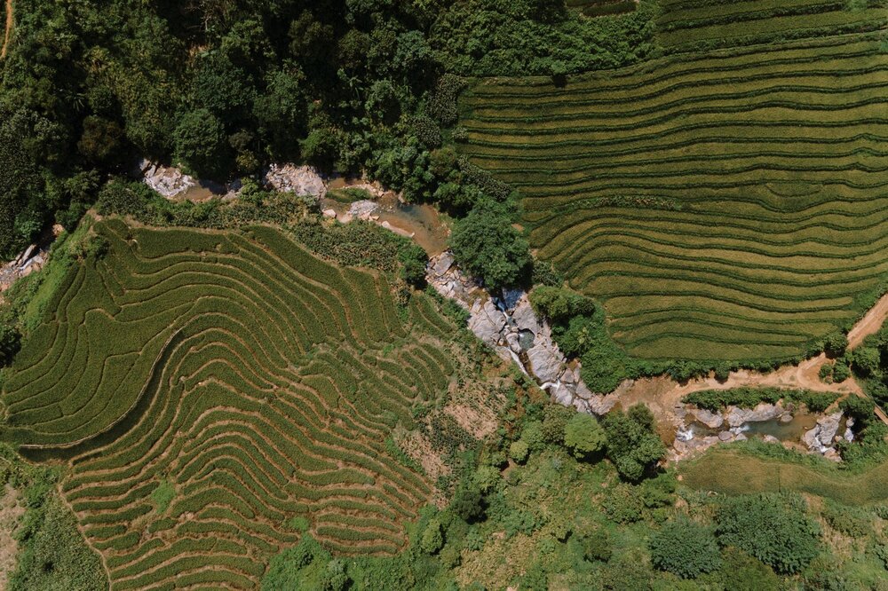 Sapa Ancient Rock Field — Vietnam