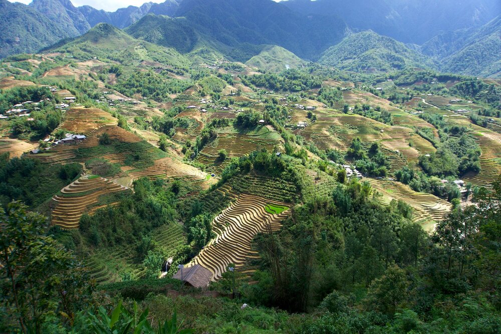 Sapa Muong Hoa Valley rice terraces trekking H'mong village