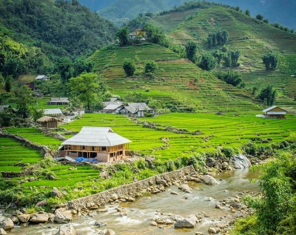 Rice terraces above Ta Van village in the Muong Hoa Valley near Sapa