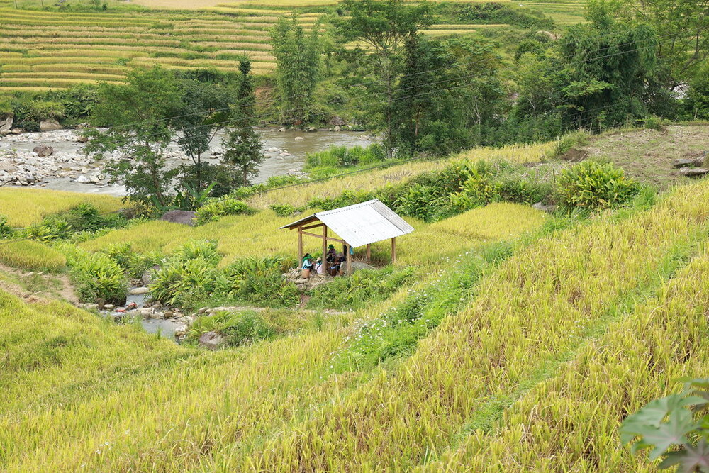 Ta Van Village, Sapa