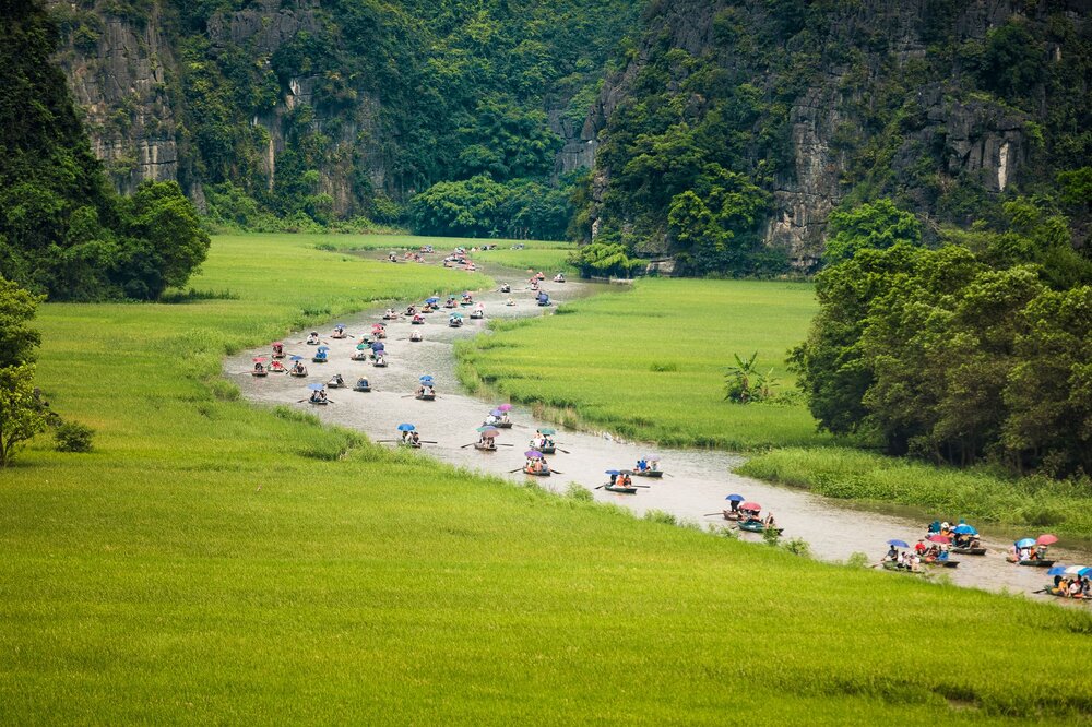 Tam Coc September golden rice harvest waterway caves valley Ninh Binh
