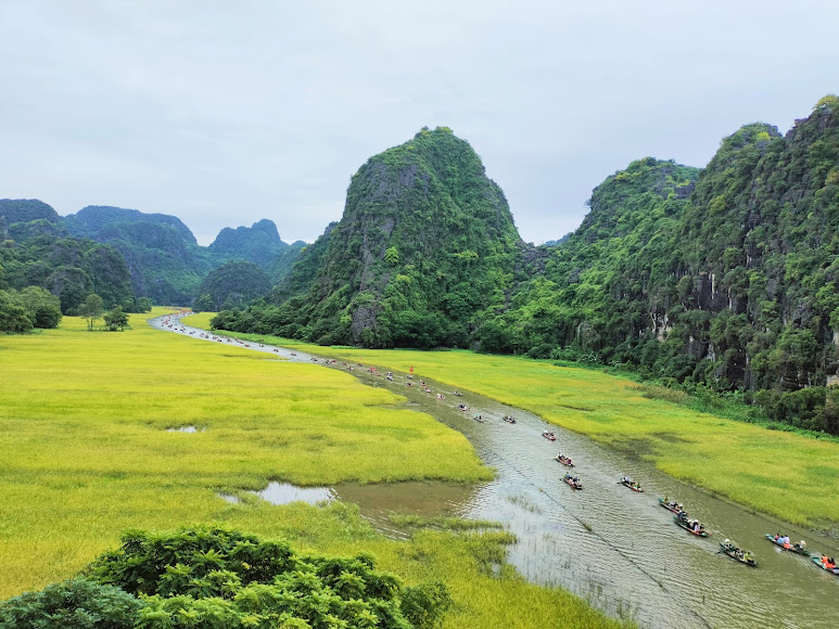Tam Coc rice paddies in June — vivid green paddy fields from the boat route