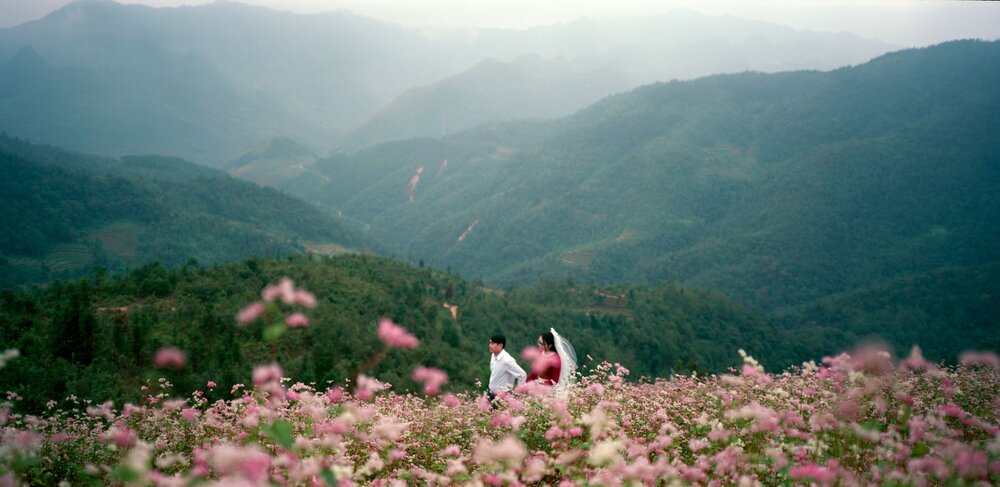Da Lat Valley of Love February Tet flowers market gardens bloom
