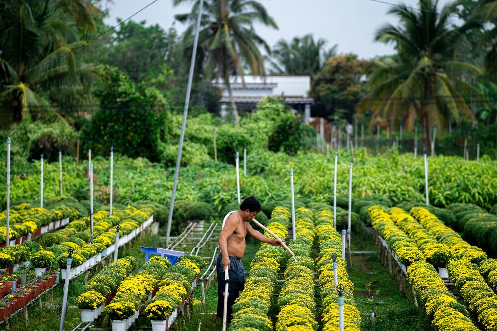 Van Thanh Flower Village — Vietnam
