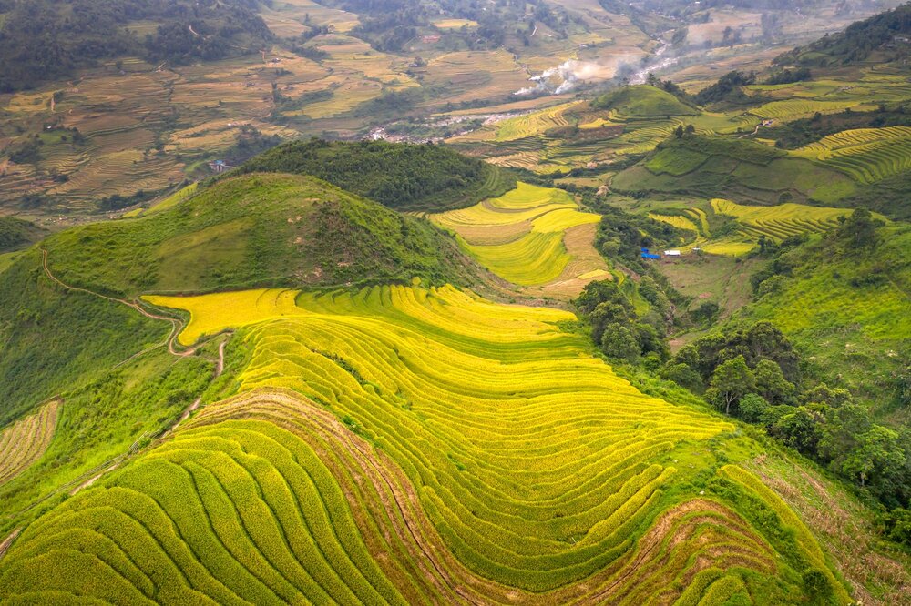 Y Ty rice terraces Lao Cai cloud sea Ha Nhi village Vietnam
